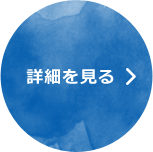 詳細を見る